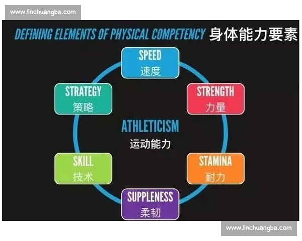 全面提升身体素质与运动能力的科学体育健康指导方案